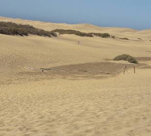 Die Dünen von Maspalomas