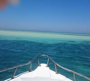 Gleich sind wir gestrandet 