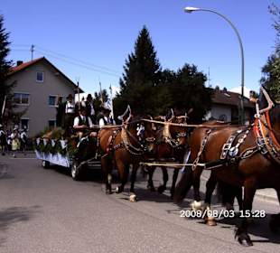 Pferdewagen beim Umzug