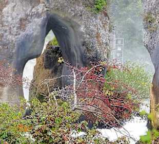 Am Rheinfall von Neuhausen bei Schaffhausen