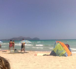 Alcudia