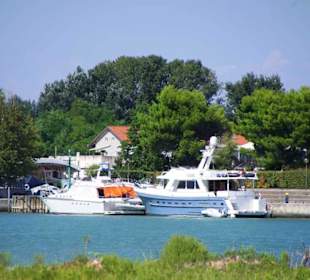 Da liegen die guten Dinger