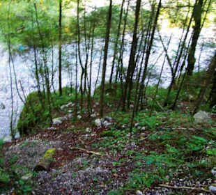 Da geht es zum Eisbach runter