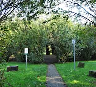 Das Weidenschloss im Park Speckenbüttel