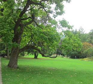 Kurpark Bad Dürkheim