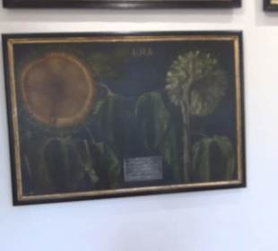 Ausstellung Sittikus