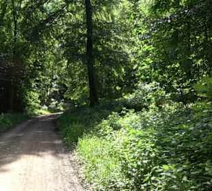 Premiumwanderweg "hochgelegen"