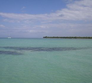 Ausflug auf die Insel Saona