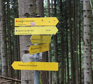 Wandern Annaberg im Lammertal