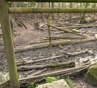 Walderlebnisweg Rottenburg