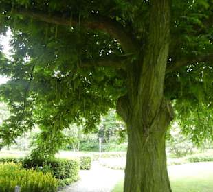 Parkanlage Planten un Blomen