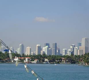 Im Hintergrund die Skyline