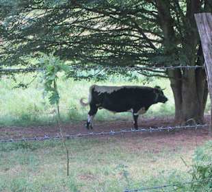 Biosphärenreservat Nordelsaß