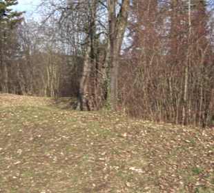 Weinbergturm
