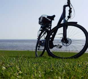 Radfahren Büsum