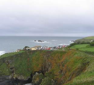 Lizard Point