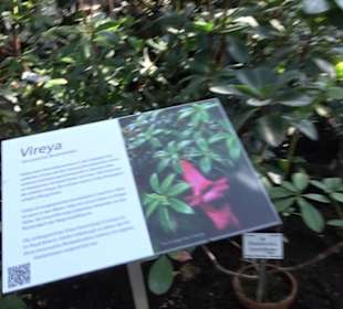 Gewächshäuser Botanischer Garten