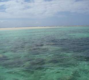 Ausflug Glasbodenboot Diani Beach