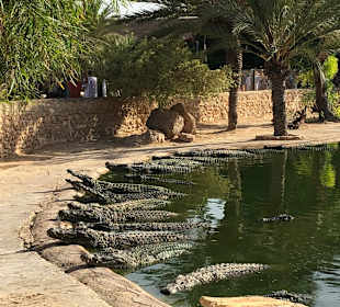 Djerba Explore Parc