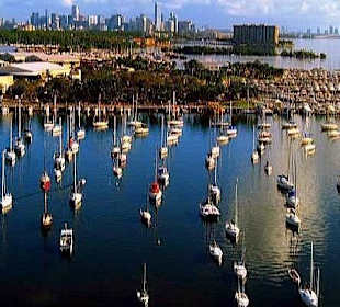 Rundflug über Miami