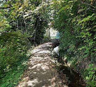 Maiser Waalweg