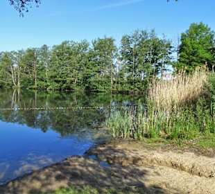 Rundgang um den Kirchhorster See