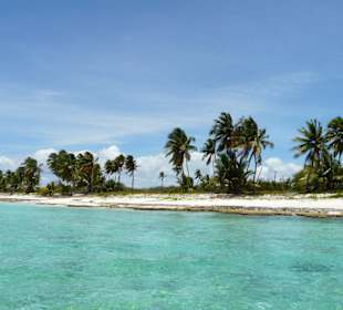 Saona