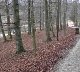 Wildpark Eichert