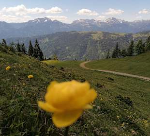Wandern Weissensee