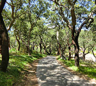 Wandern Olhos de Água