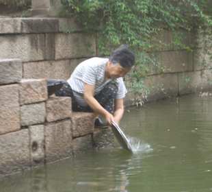 Geschirr spülen in Tongli