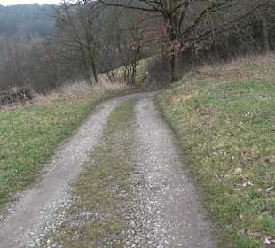 Unterjesinger Wengertwegle