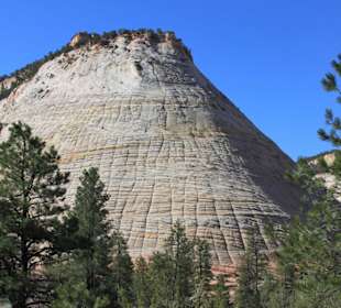 Checkerboard Mesa vor dem Zion Nationalpark
