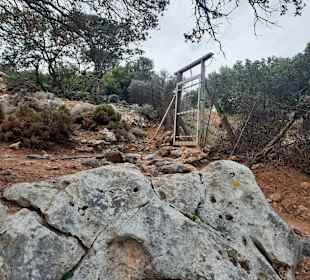 Eingang mit Tiergatter