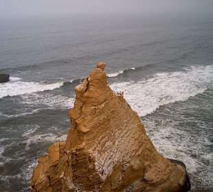 Péninsule de Paracas