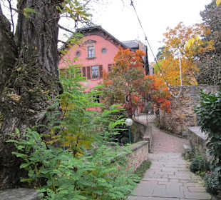 Schloss Deidesheim