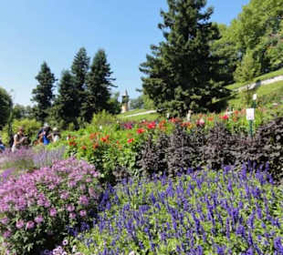 Insel Mainau 08/2017