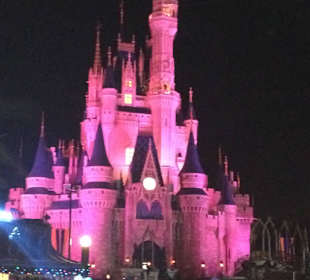 Disney , Orlando in Night