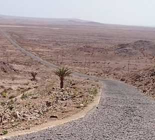 Route 66