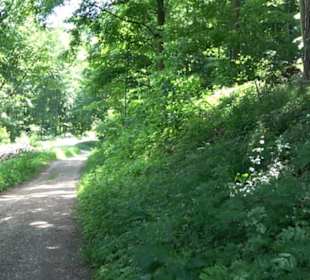 Premiumwanderweg "hochgelegen"