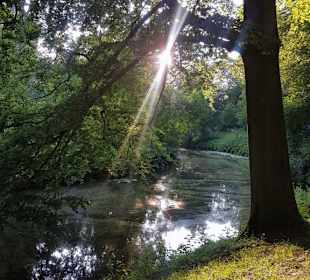Weg zum Schloss