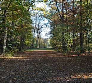 Impressionen aus dem Bürgerpark Bremerhaven