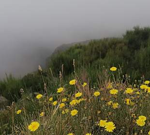 Wandern Caniço
