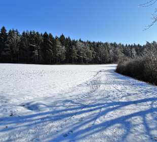 Der Wanderweg zum Hohlen Stein