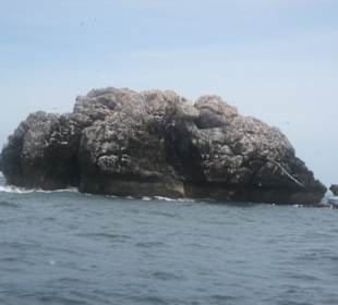 Sail Rock - Tauchausflug