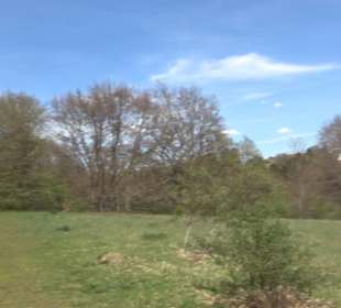 Rundweg am Beutenlay