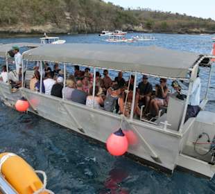 Castaway Cruise
