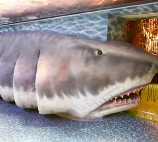 Eingang Unterwasserzoo