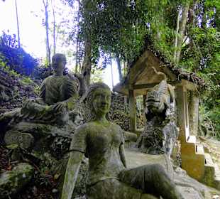 Magic Garden...