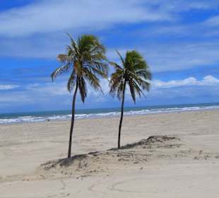 Ausflug nach Mangue Seco